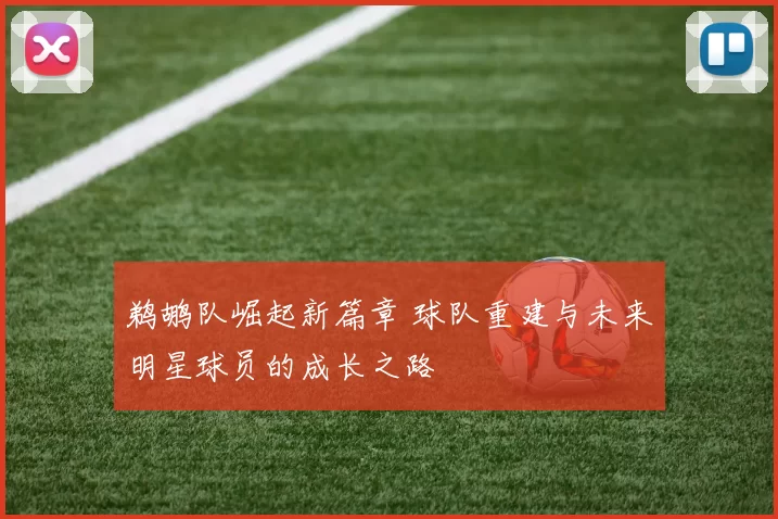 鹈鹕队崛起新篇章 球队重建与未来明星球员的成长之路
