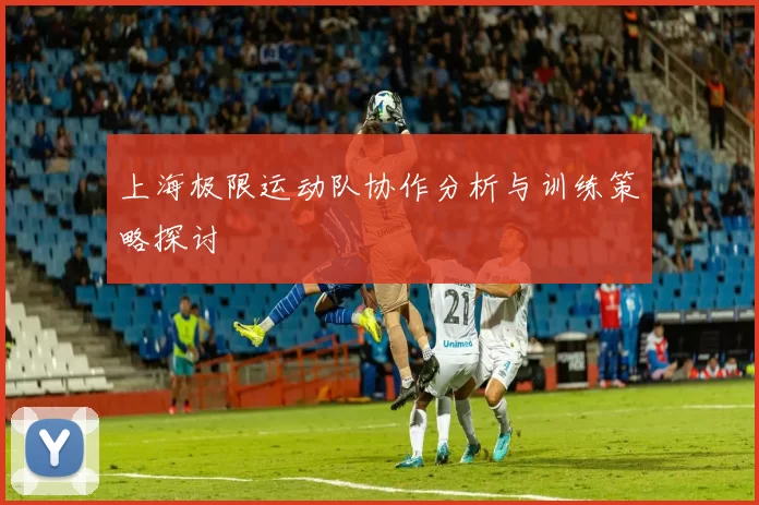 上海极限运动队协作分析与训练策略探讨