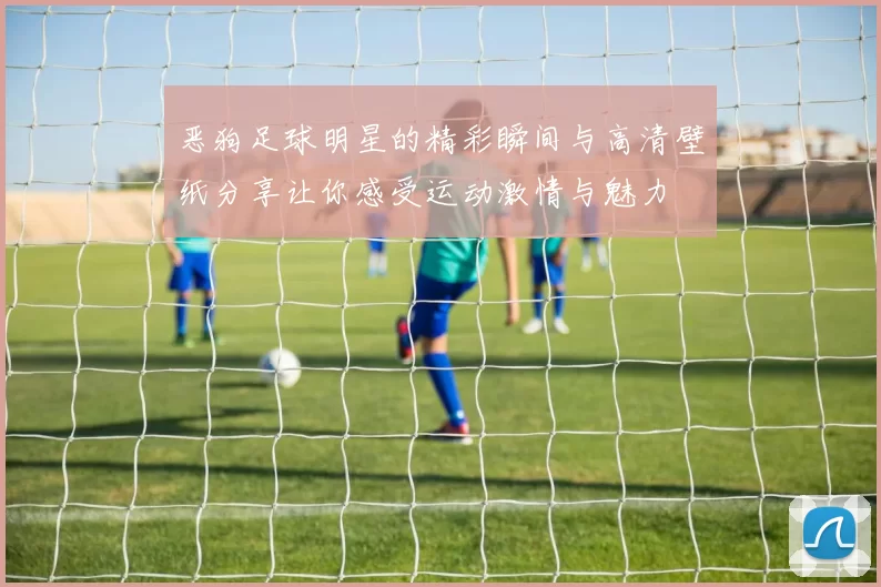 恶狗足球明星的精彩瞬间与高清壁纸分享让你感受运动激情与魅力