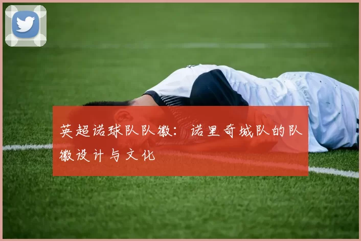 英超诺球队队徽：诺里奇城队的队徽设计与文化