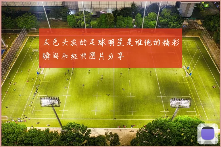 灰色头发的足球明星是谁他的精彩瞬间和经典图片分享