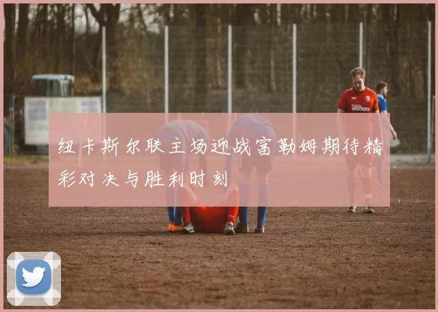 纽卡斯尔联主场迎战富勒姆期待精彩对决与胜利时刻