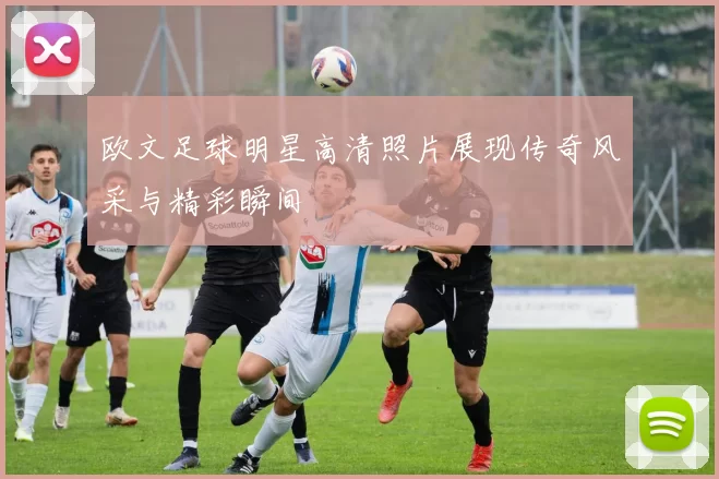 欧文足球明星高清照片展现传奇风采与精彩瞬间
