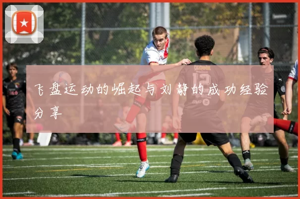 飞盘运动的崛起与刘静的成功经验分享