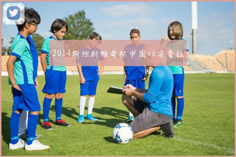 2014斯坦科维奇杯中国vs安哥拉