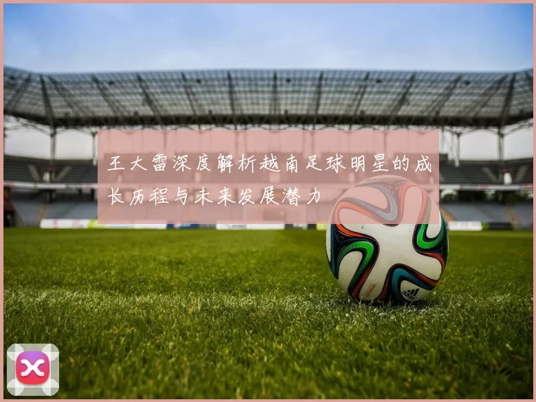 王大雷深度解析越南足球明星的成长历程与未来发展潜力