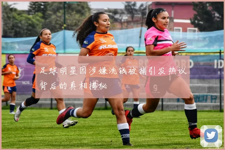 足球明星因涉嫌洗钱被捕引发热议背后的真相揭秘